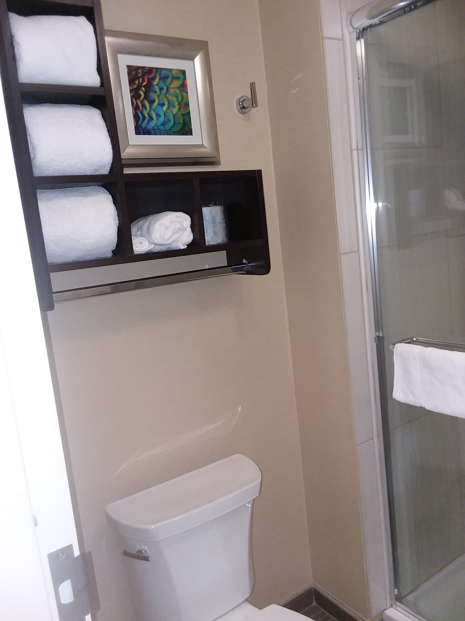 Homewood Suites by Hilton Davenport-浴室