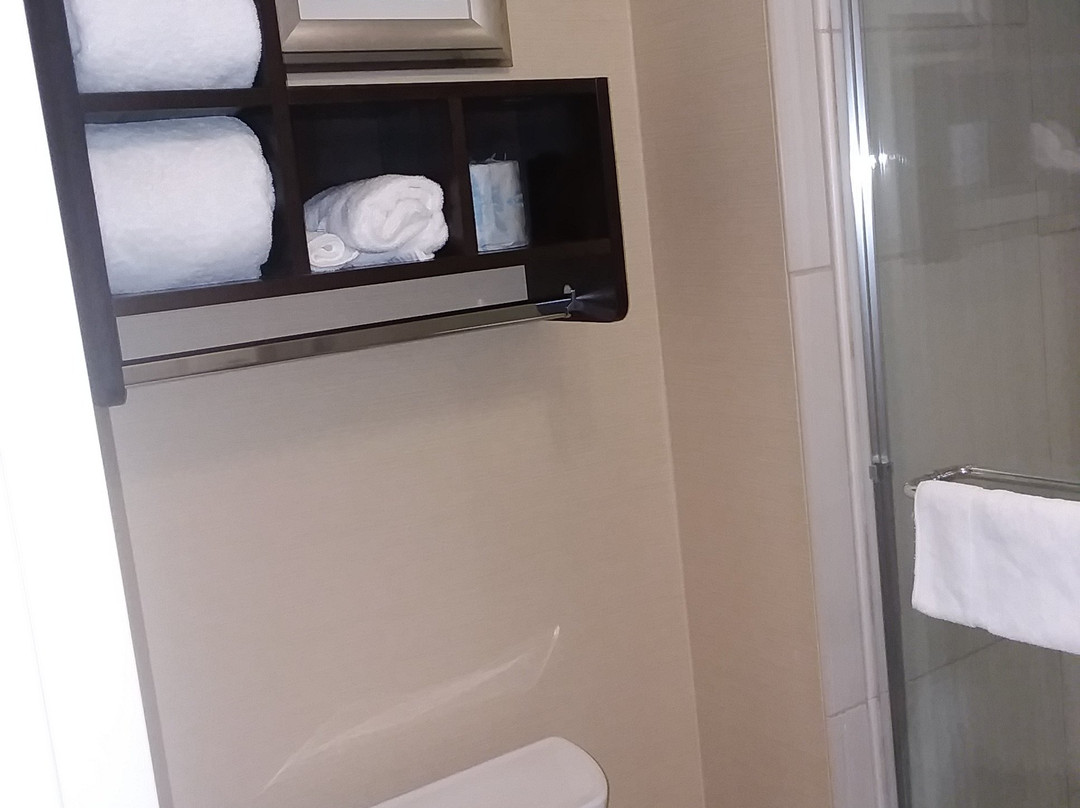 Homewood Suites by Hilton Davenport主图