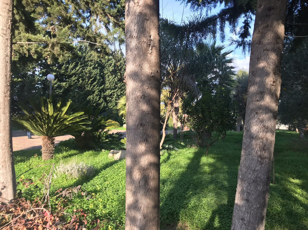 Verdeoliva Bed & Breakfast主图