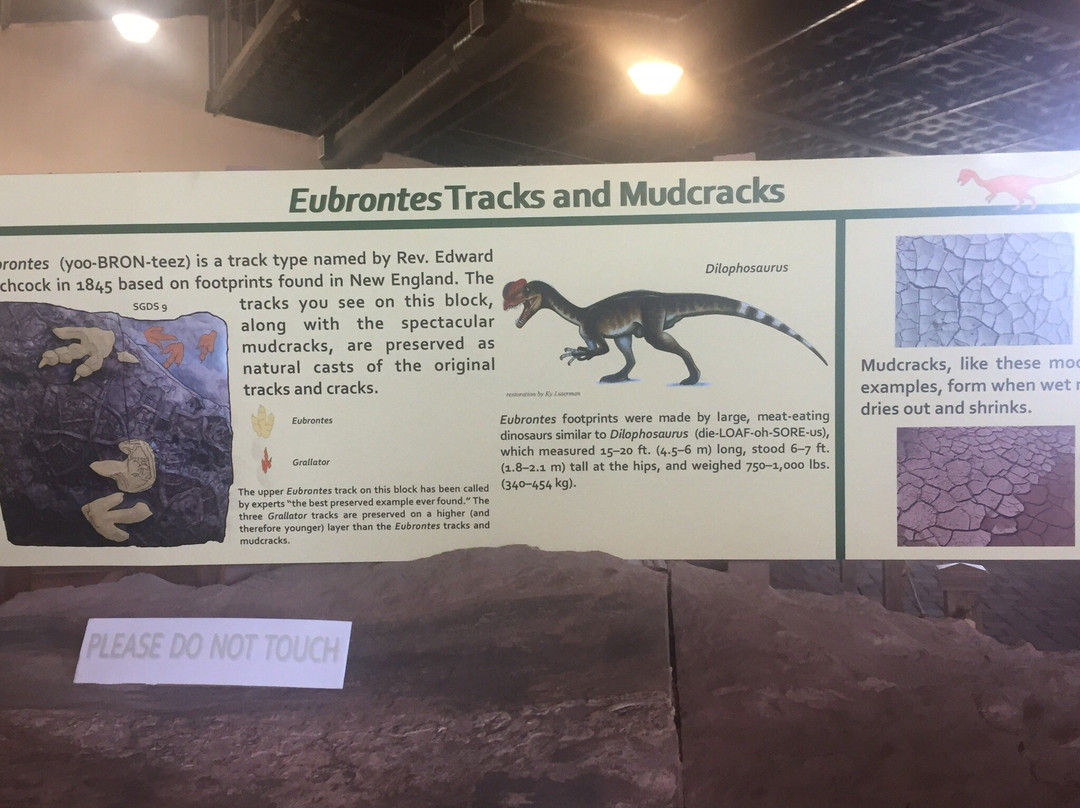 Rosenbruch World Wildlife Museum-圣乔治必去景点