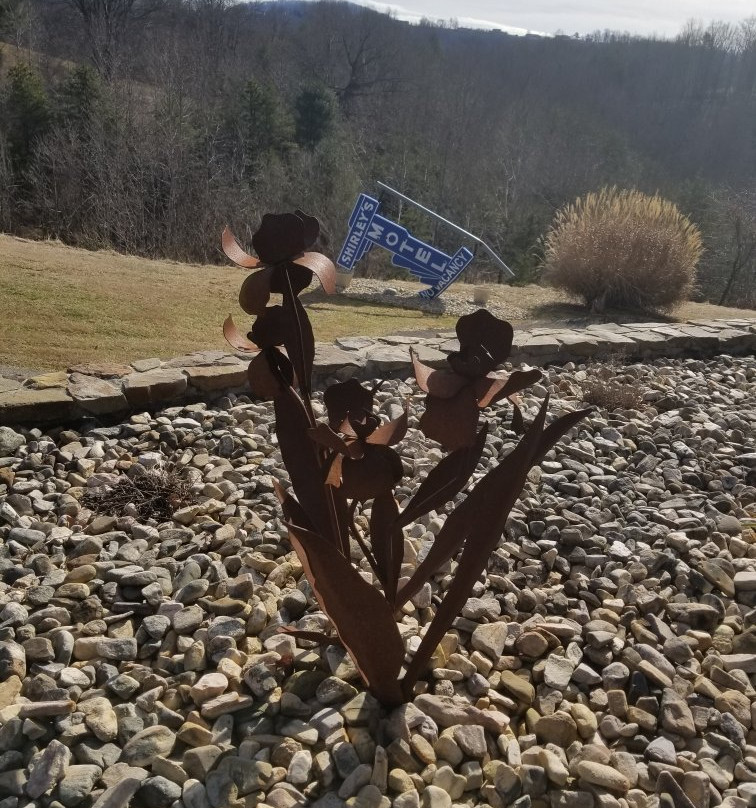 Shirley's Bed And Breakfast主图