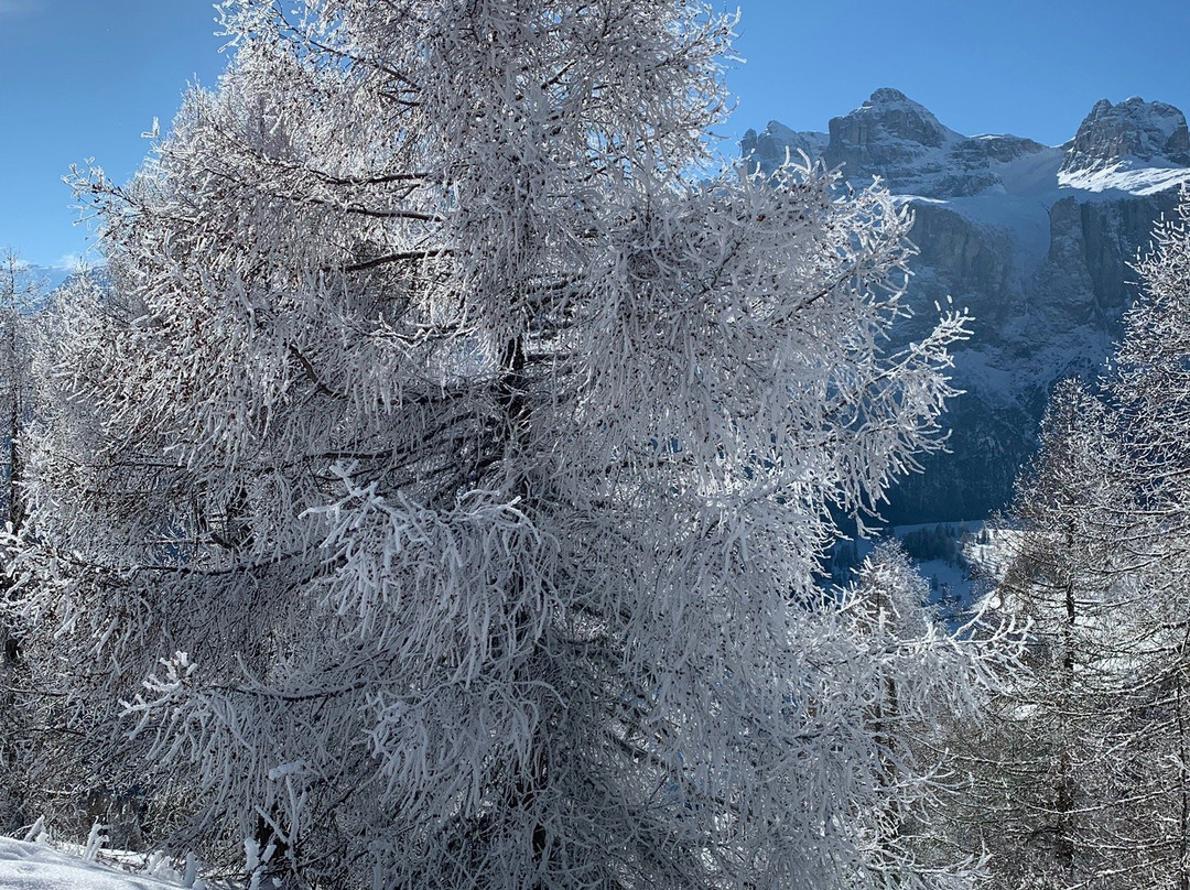 Funivia Col Pradat-Colfosco必去景点