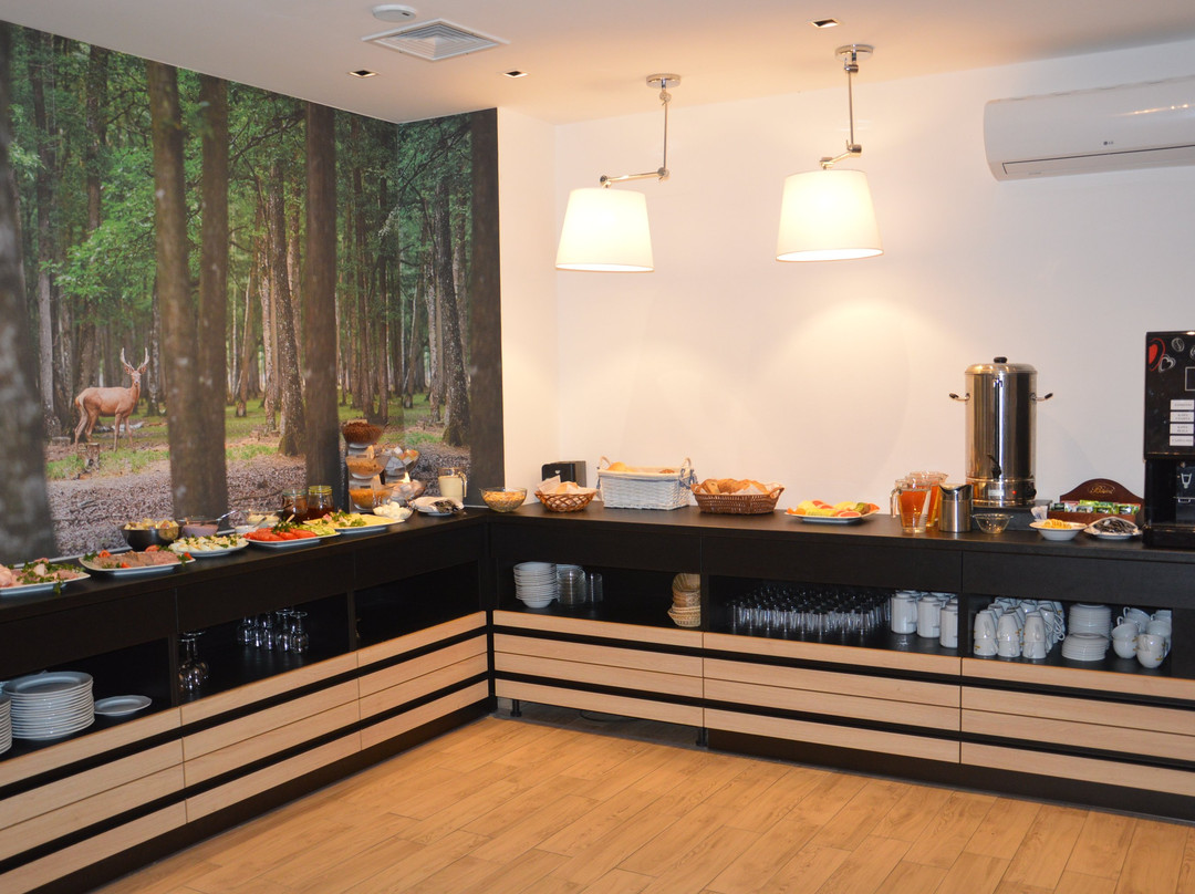 Hotel Fero Lux主图