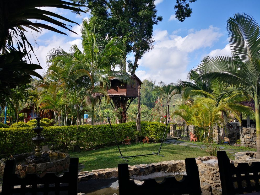 La Casa del Arbol主图