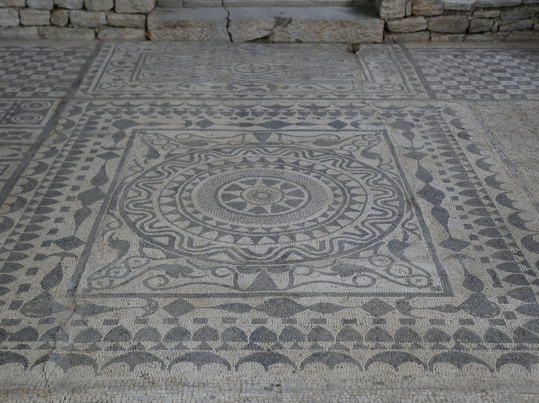 Roman Mosaics Risan景点图片