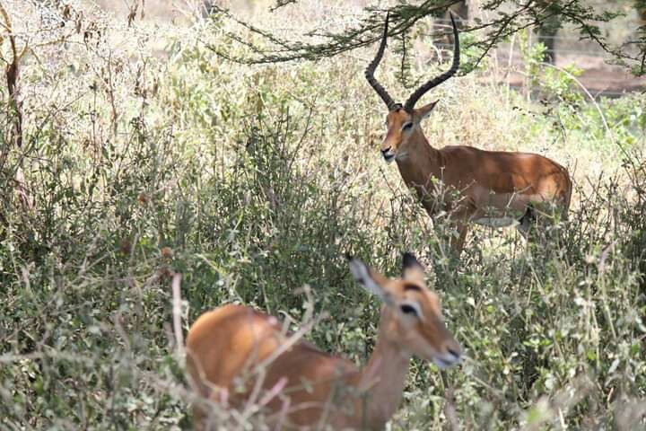 Attractions Africa Tours and Travel-开普敦中心区必去景点