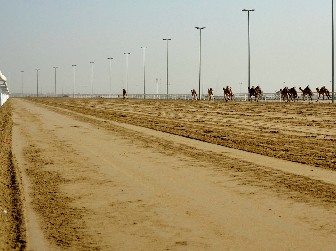 Al Shahaniya Racetrack-Ash-Shahaniyah必去景点