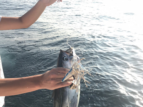 Seven Bay Snorkel Cruise-瓦图尔科必去景点