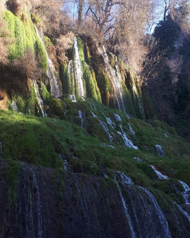 Parque Jardin Historico Monasterio de Piedra景点图片