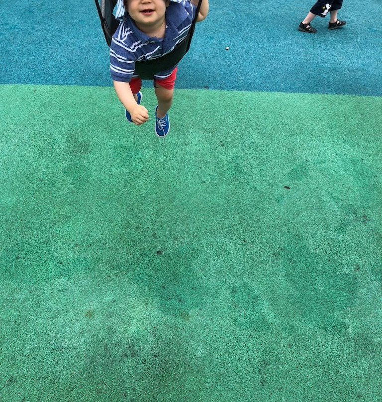 Clemyjontri Park景点图片