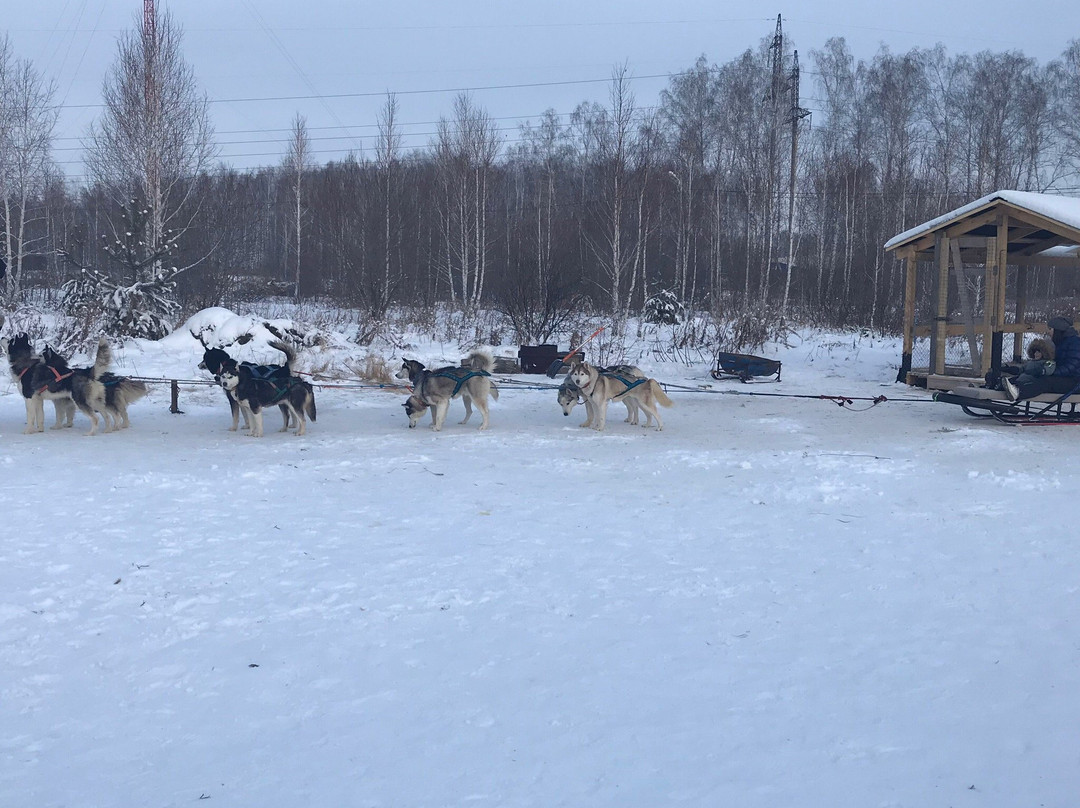 Huskies-Center Akvilon - Day Tours景点图片