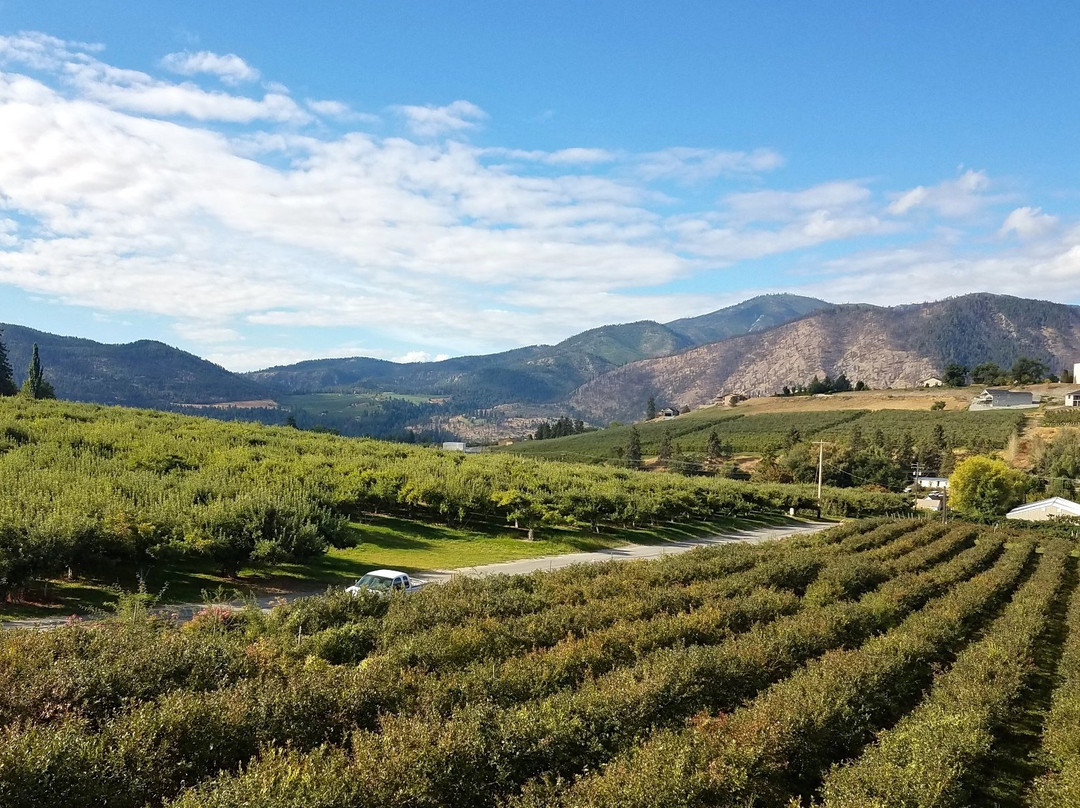 Benson Vineyards Estate Winery-Manson必去景点