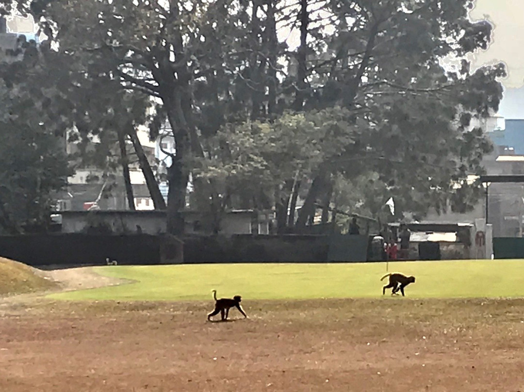 戈卡纳森林度假村酒店主图