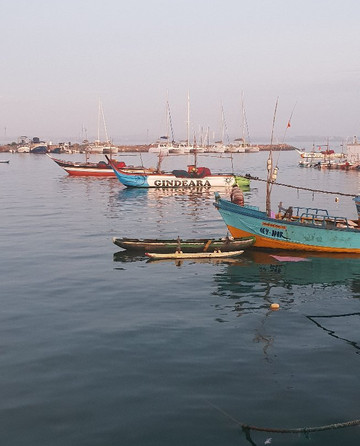 Red Apple Colombo Tours-科伦坡必去景点