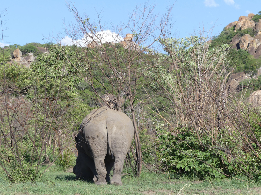 null-Matobo National Park - The Matopos