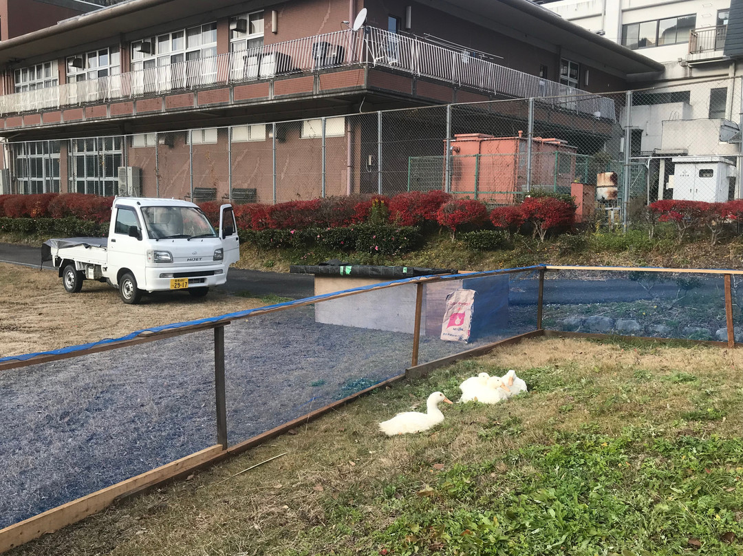 Niyodogawa Tourism Center, Akiba no Yado主图