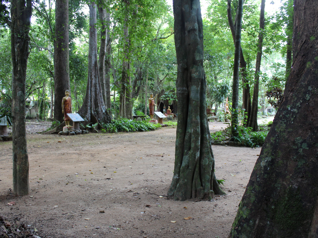 Phuket Trekking Club - Day Tours-拷索国家公园必去景点