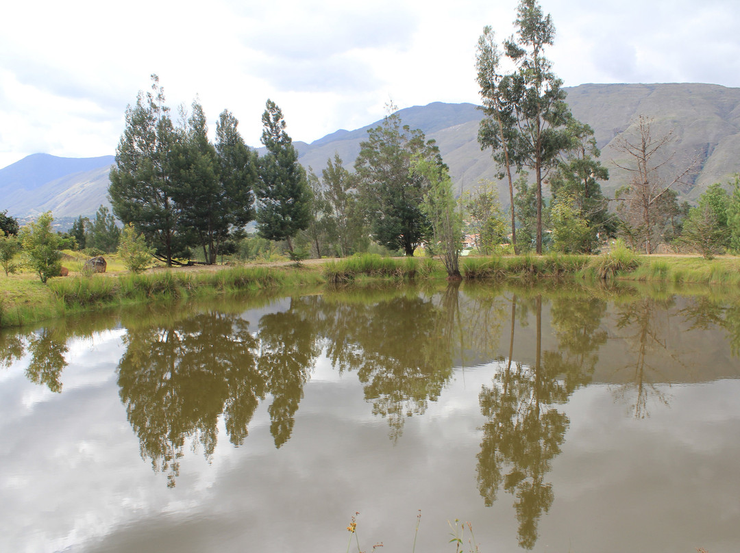 Hotel MasClara主图