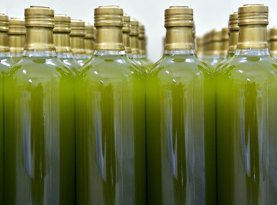 Book Istria-普拉必去景点