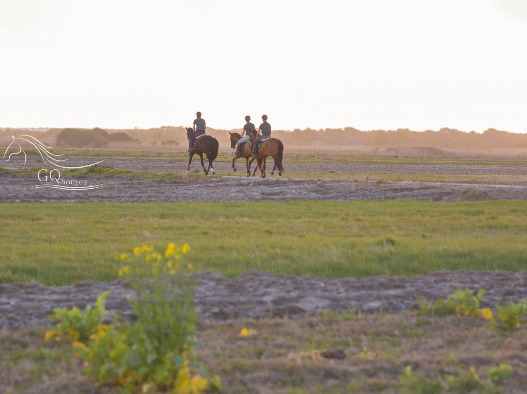 GQhorses-Gafanha da Boa-Hora必去景点