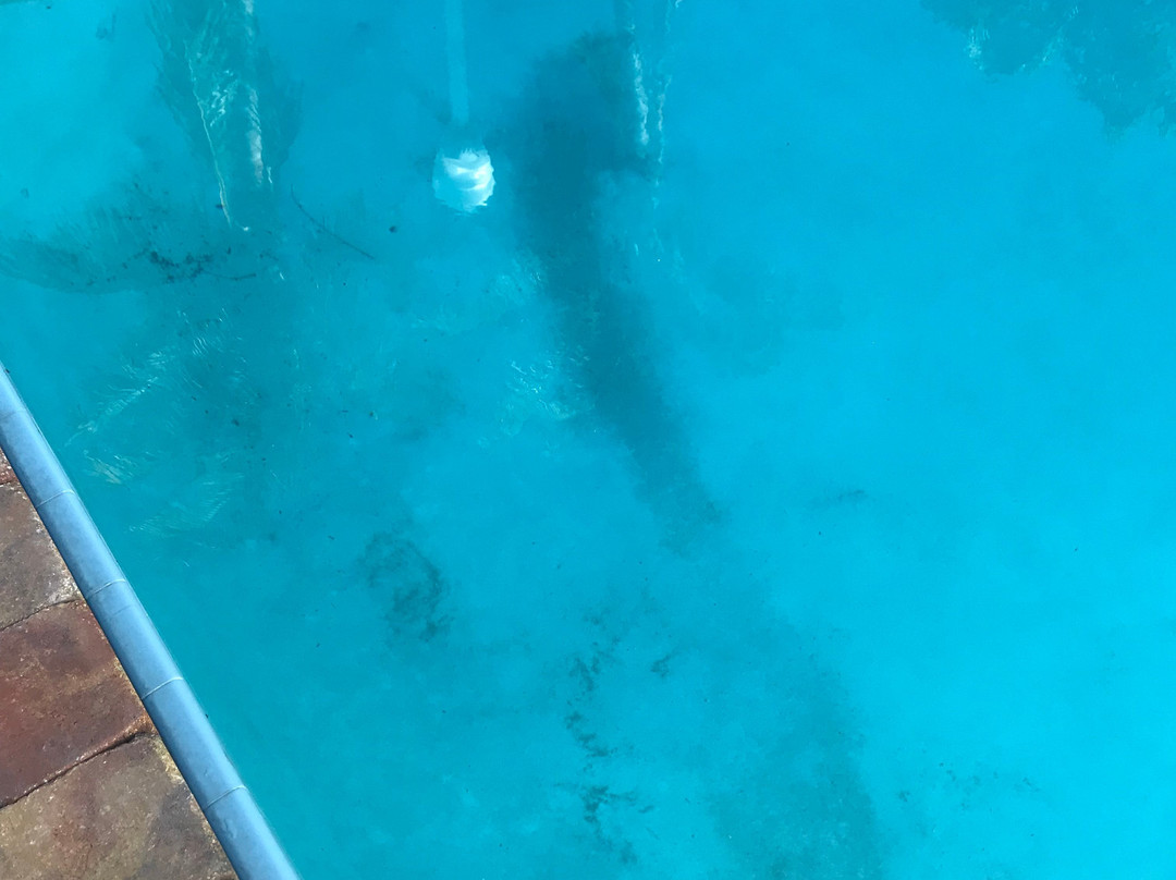 Fairfield by Marriott Inn & Suites Palm Beach主图