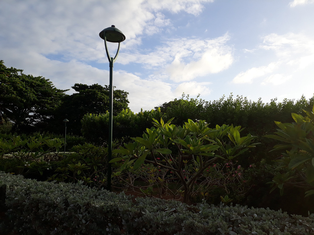 Parque Ecológico San Andrés景点图片