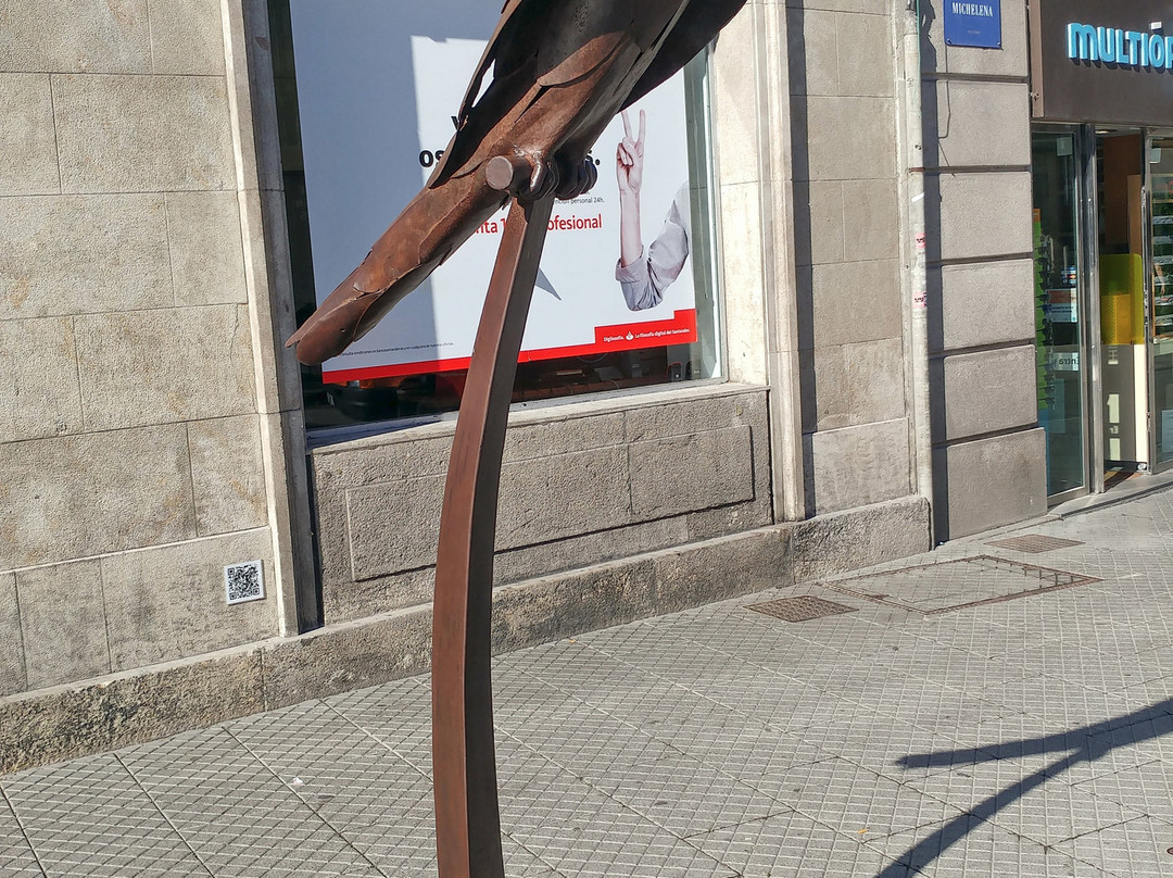 Loro Ravachol景点图片