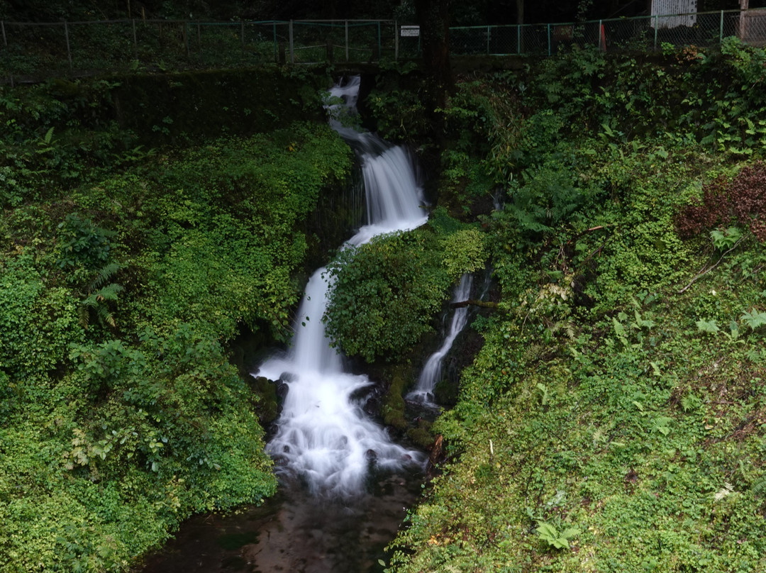 Hakoshima Yusui景点图片