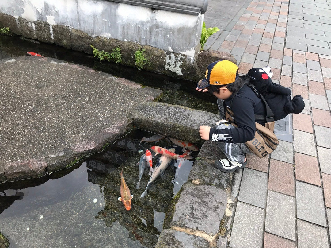 Shimabara Spring Group-岛原市必去景点