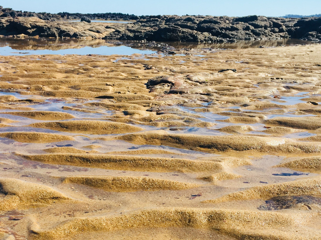 Point Leo Foreshore Reserve
