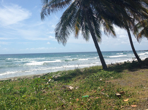Destination Trinidad and Tobago-西班牙港必去景点