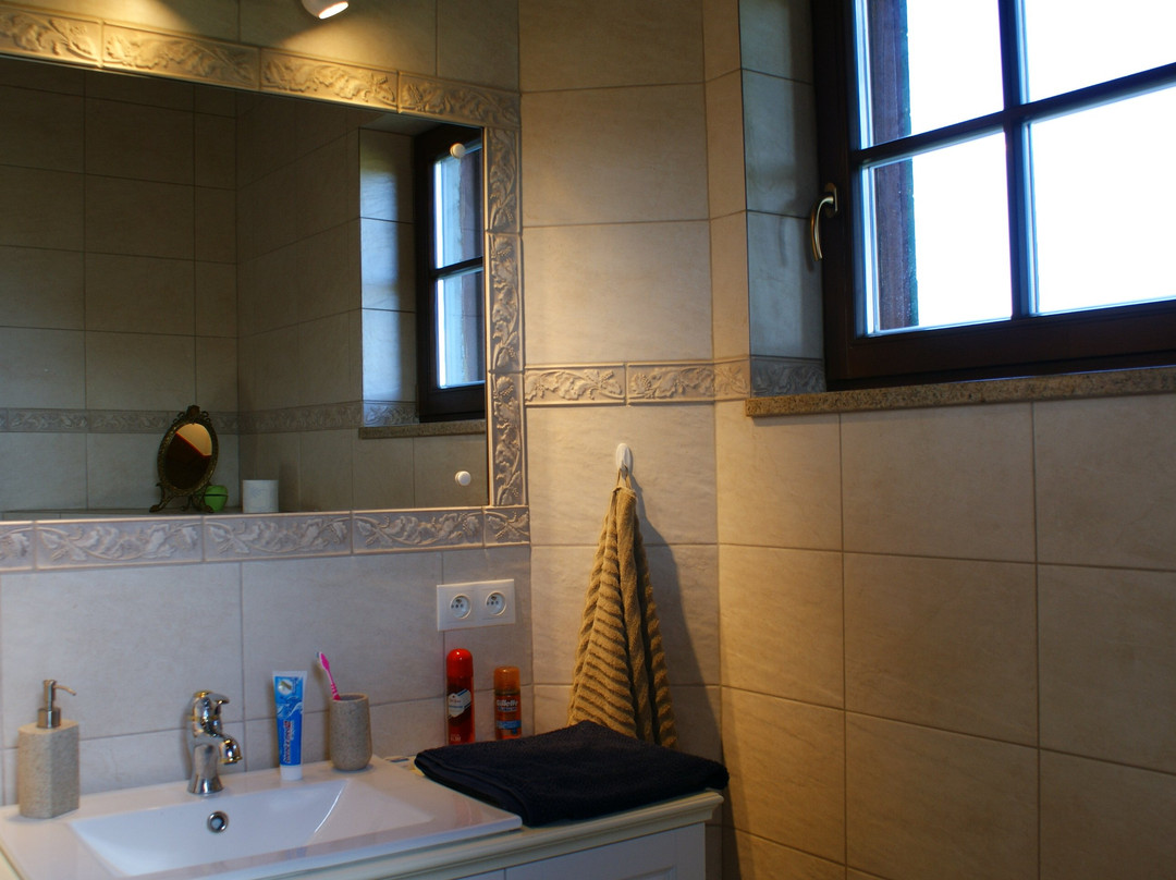 Samotnia pod Zelaznym Koniem主图