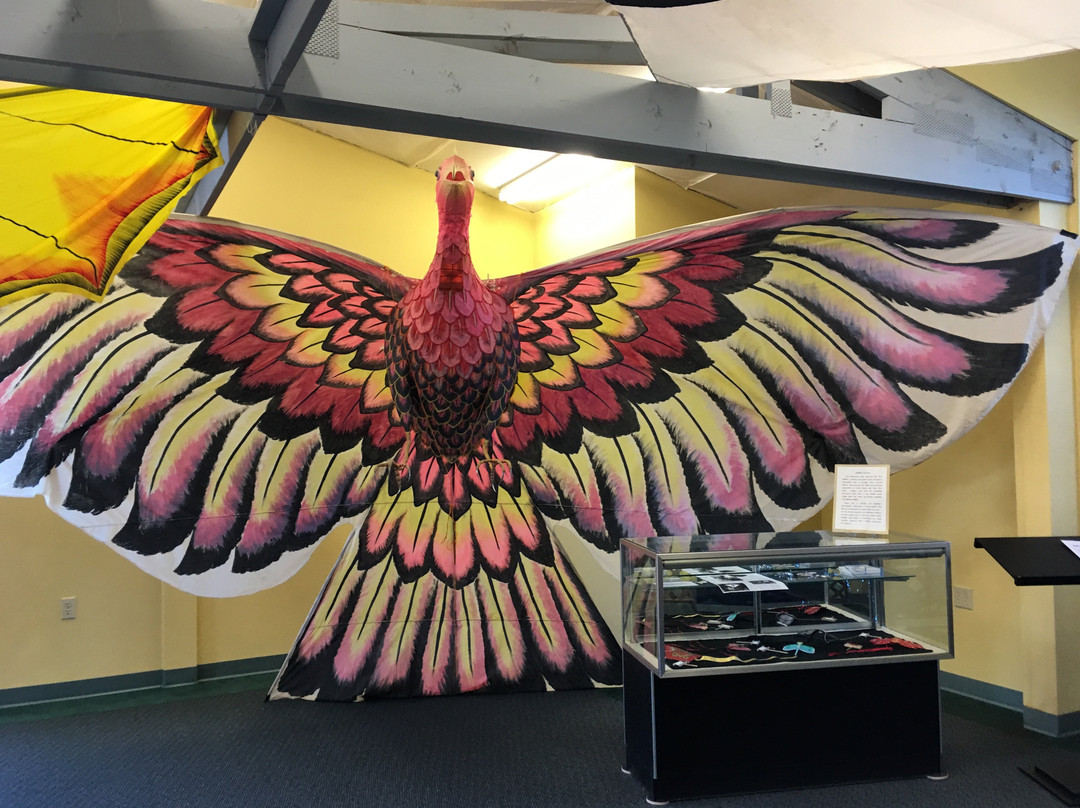 World Kite Museum & Hall of Fame景点图片