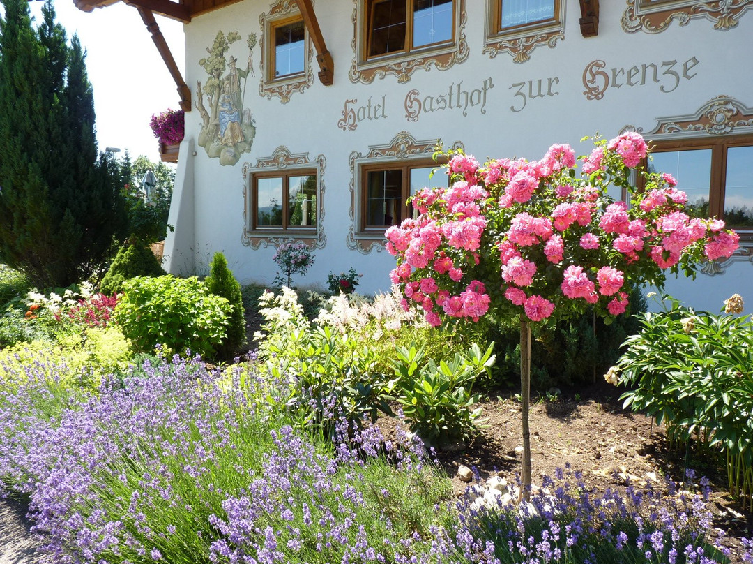 Landhotel Zur Grenze主图