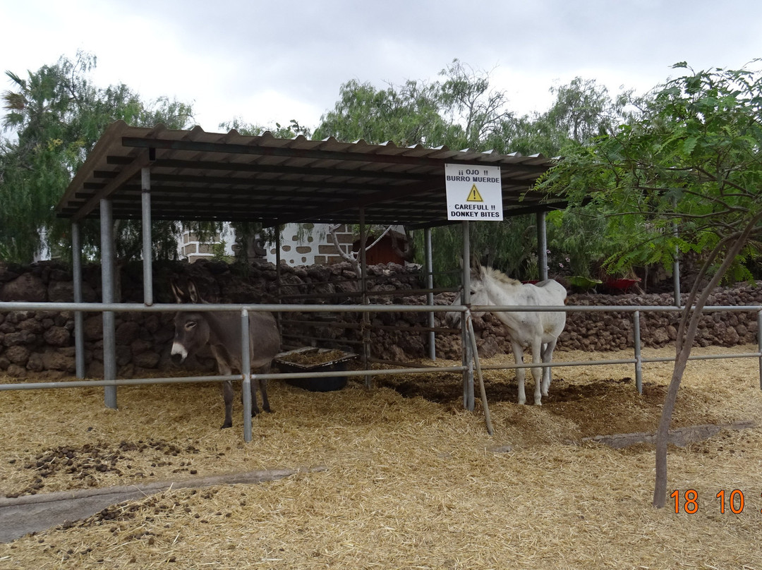 Camel Park景点图片