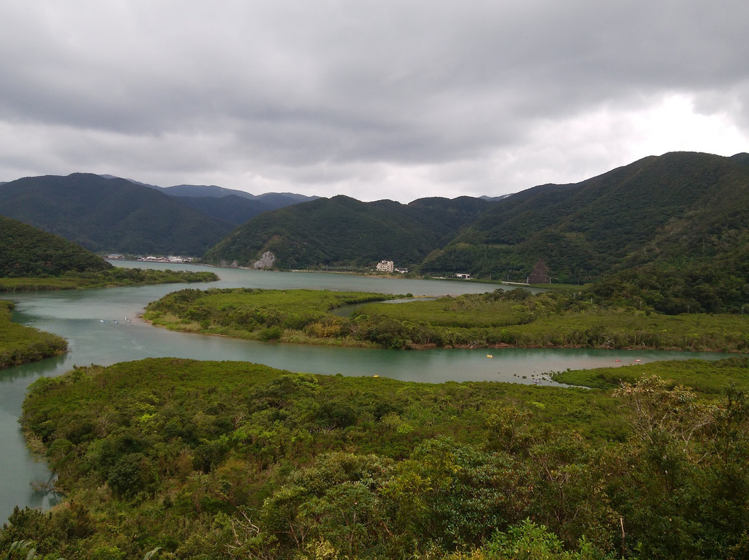 Mangrove Observatory景点图片