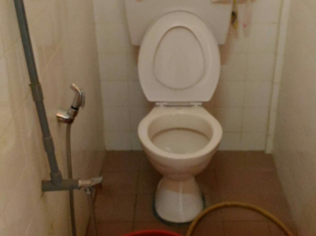 Muzium Rembau (Replika Istana Raja Melewar)-Kota必去景点