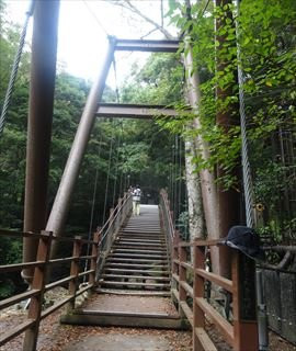 Kawazu Odoriko Takimi Bridge景点图片