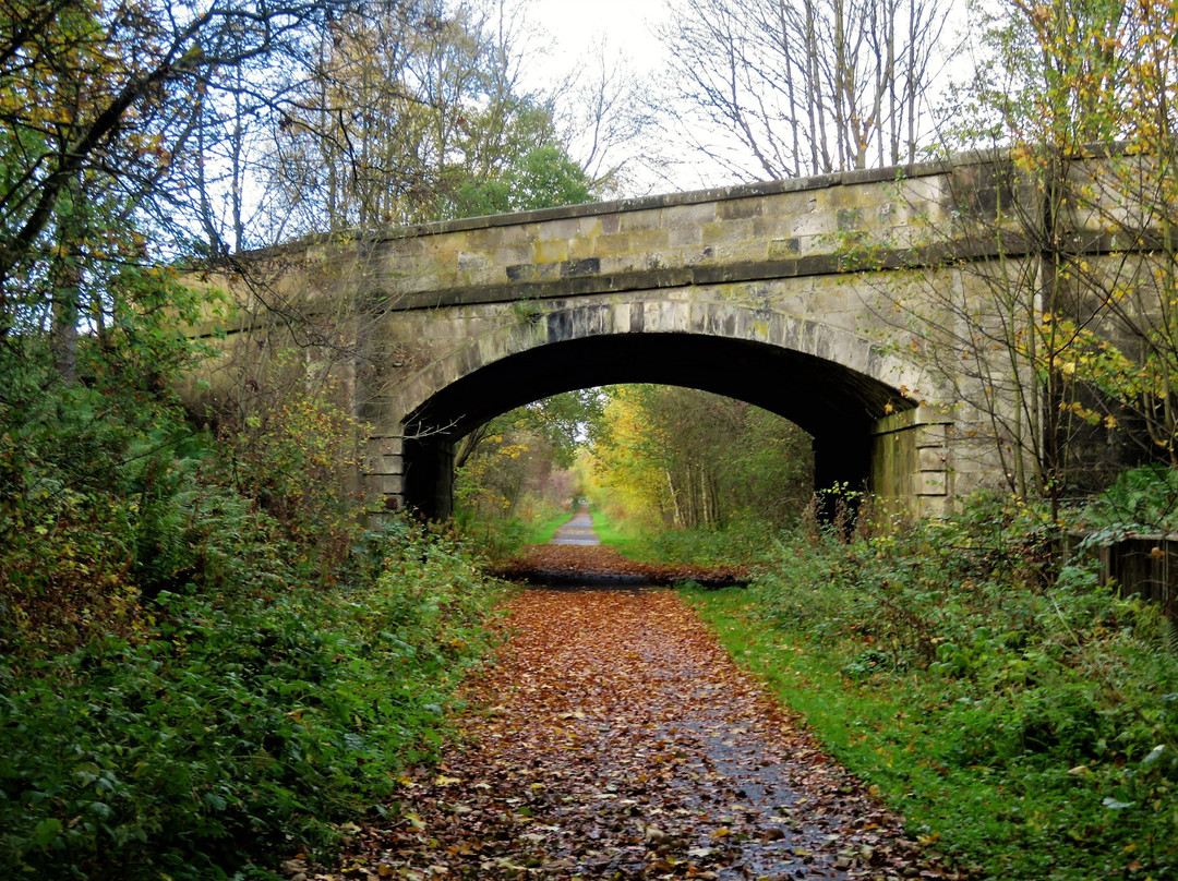 Dunfermline to Alloa Cycle Route景点图片