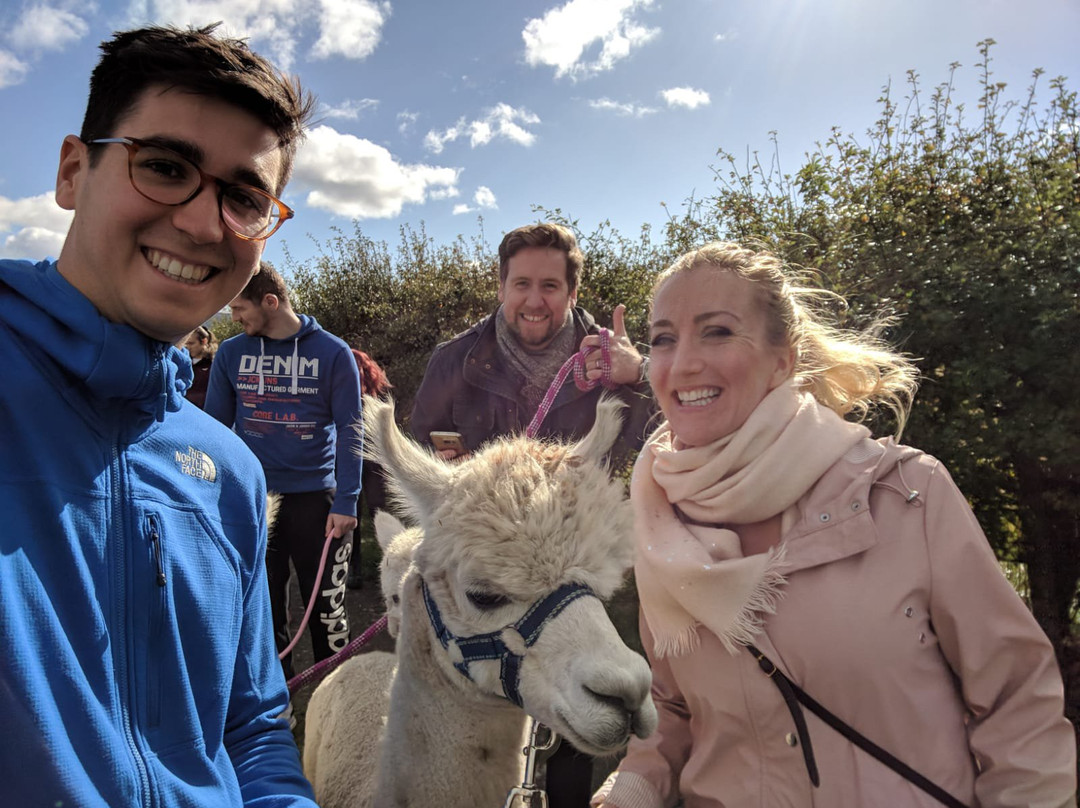 The Alpaca Trekking Centre-斯特灵必去景点