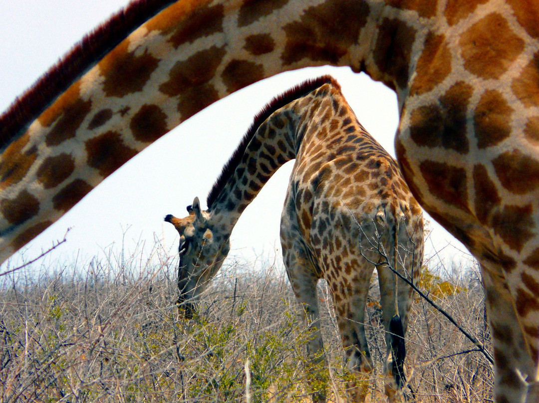 Afrika 24 Reisen-开普敦必去景点