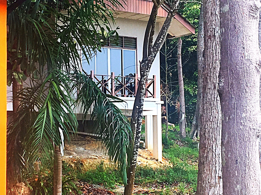 Tasek Bera-而连突必去景点