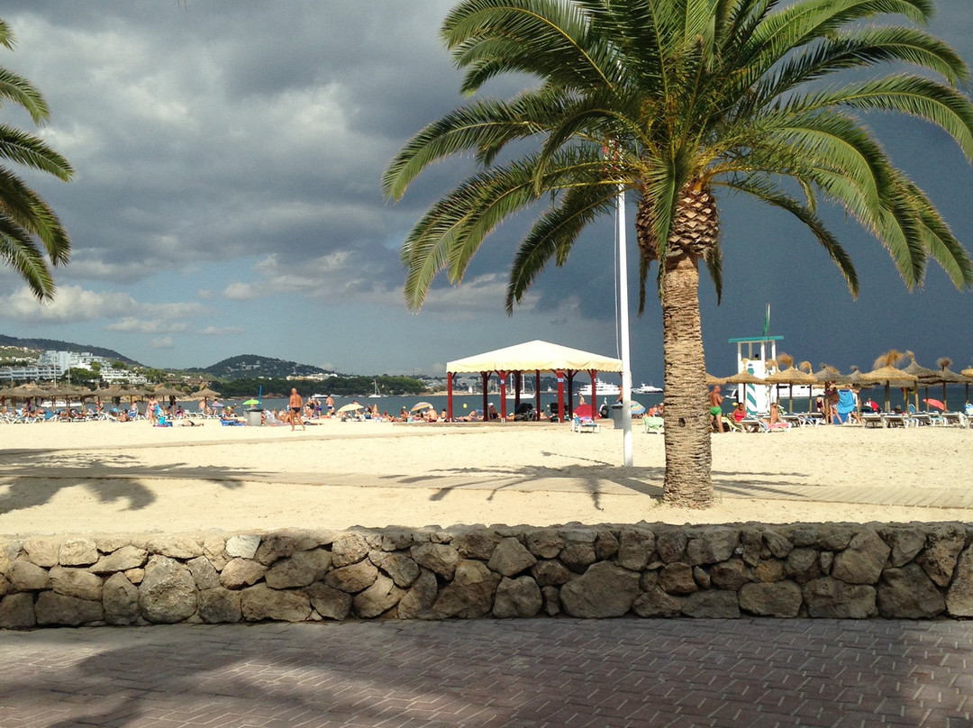 Palma Nova Beach-Palmanova必去景点