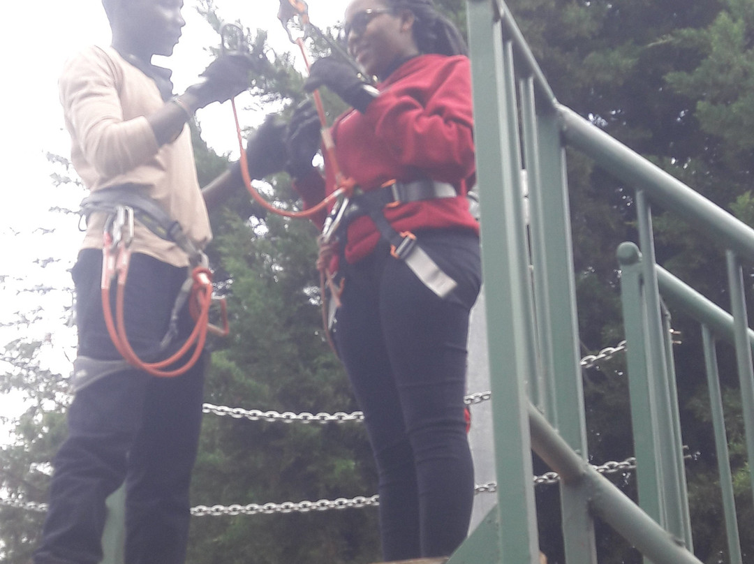 The Forest Adventure Centre景点图片