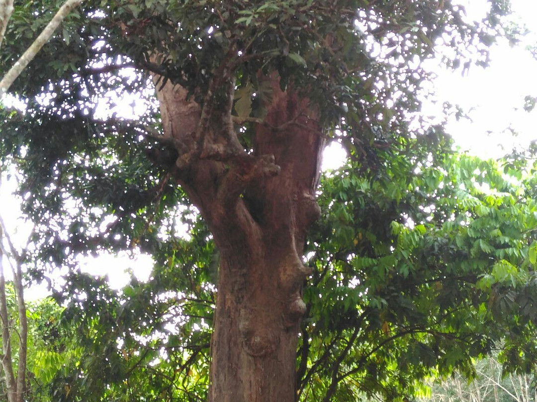 Zǐ Xia Dong-话望生必去景点