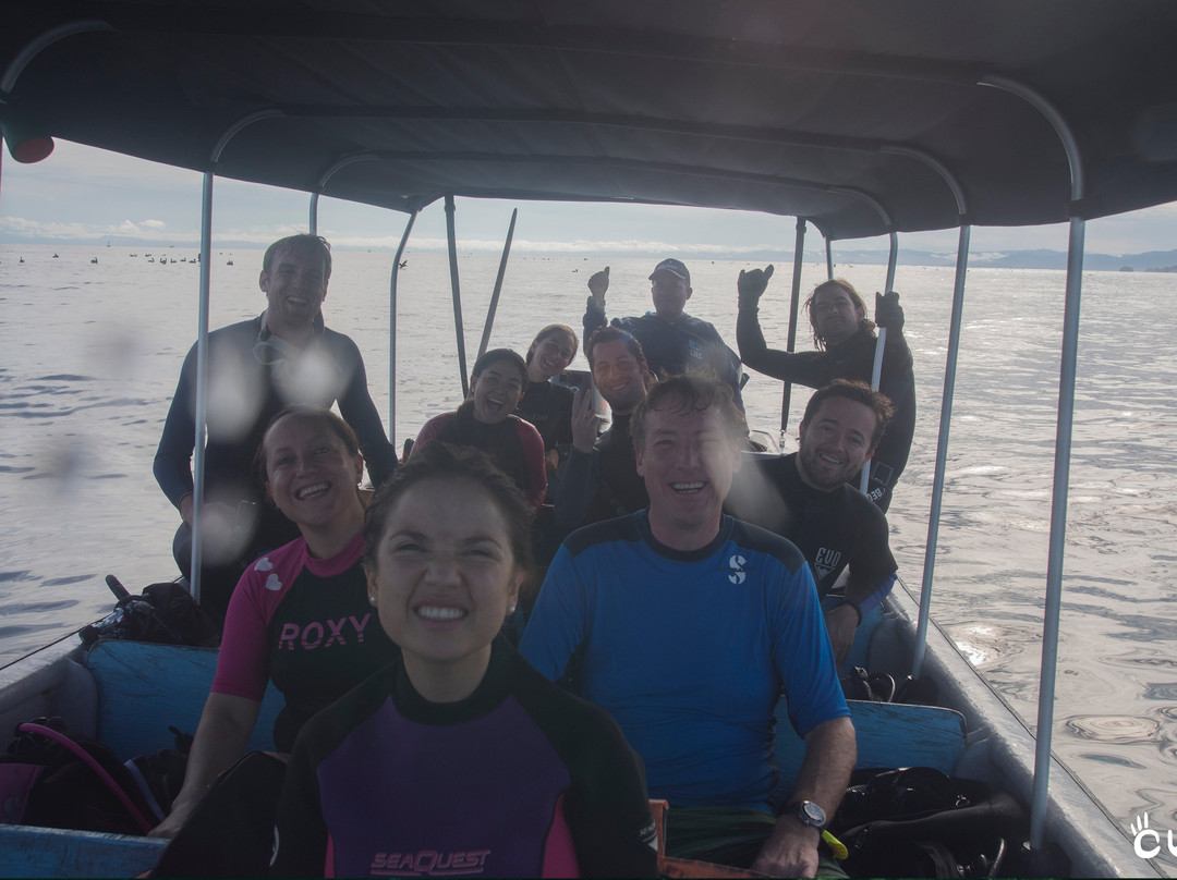 Colombia Underwater Expeditions-Arusi必去景点