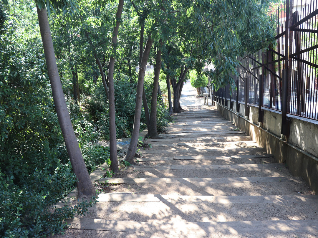 Parc Torre del Sol-Sant Boi de Llobregat必去景点