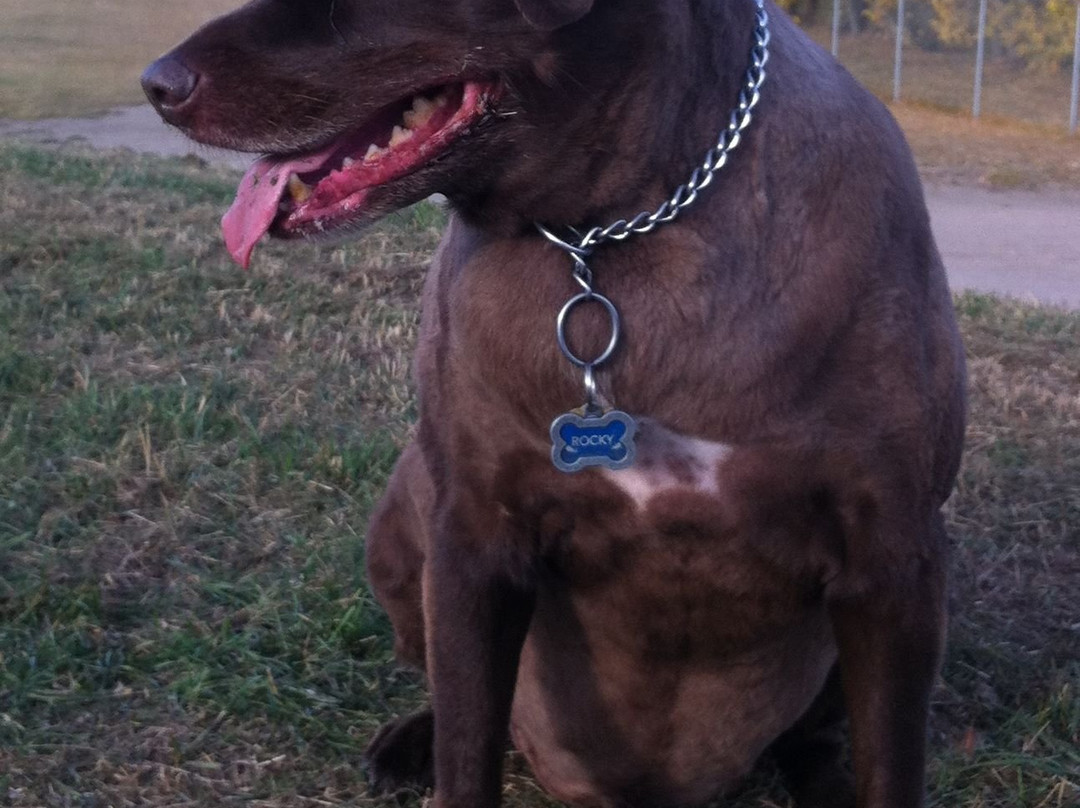 Jarvis Bay Provincial Park-西尔万湖必去景点