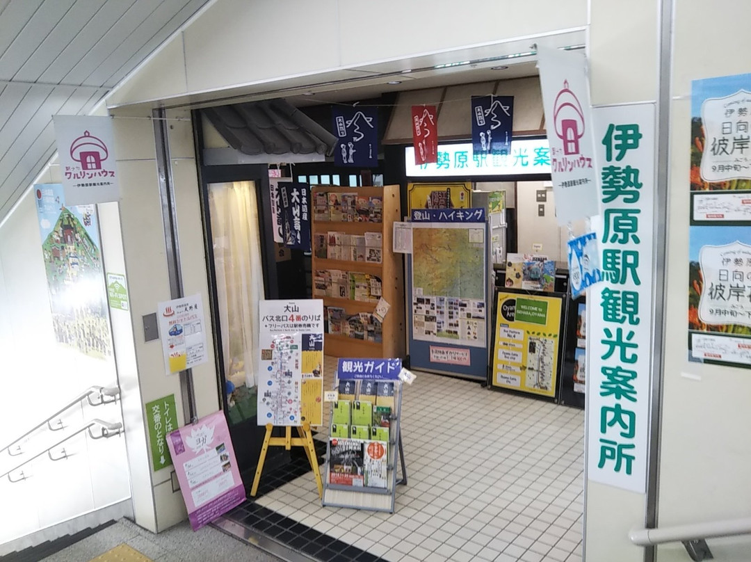 Ekinaka Kururin House景点图片