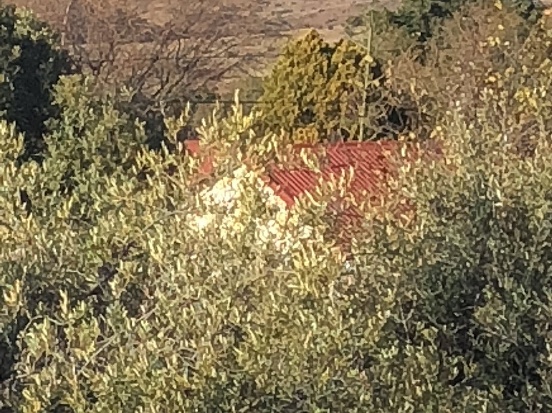 斯通里奇宾馆主图